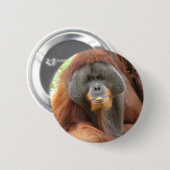 Pongo Orangutan Ape Round Pin Ronde Button 5,7 Cm (Voorkant /achterkant)