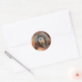 Pongo Orangutan Ape Sticker (Envelop)