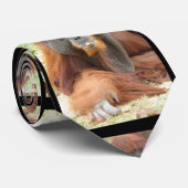 Pongo Orangutan Ape Stropdas (Opgerold)