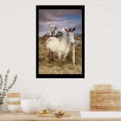 Ponies du Connemara. Poster par cARTerART (Cuisine)