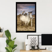 Ponies du Connemara. Poster par cARTerART (Bureau à domicile)