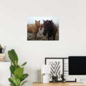Ponies islandaises, chevaux islandais en affiche d (Bureau à domicile)