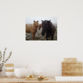 Ponies islandaises, chevaux islandais en affiche d (Cuisine)