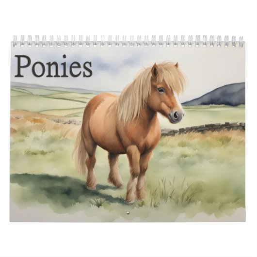 Ponies Kalender (Hoes)