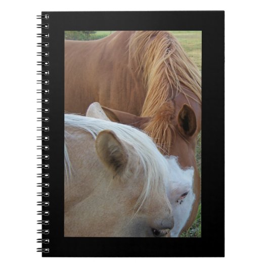 Ponies Notitieboek (Voorkant)