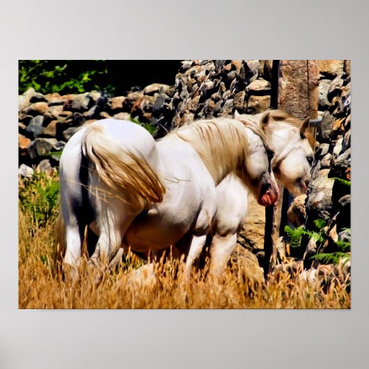 PONIES POSTER (Voorkant)