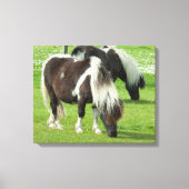 Ponies van raszuivere Shetland Paint Canvas Afdruk (Voorkant)