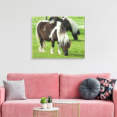 Ponies van raszuivere Shetland Paint Canvas Afdruk (Insitu (Woonkamer))