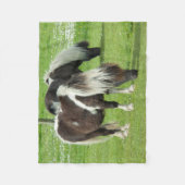 Ponies van raszuivere Shetland Paint Fleece Deken (Voorkant)