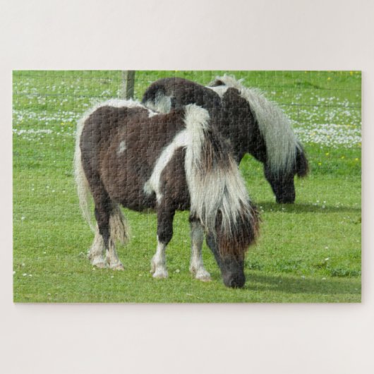 Ponies van raszuivere Shetland Paint Legpuzzel (Horizontaal)