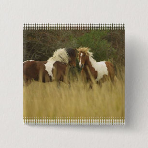 Ponies verven op Button Veldvierkant