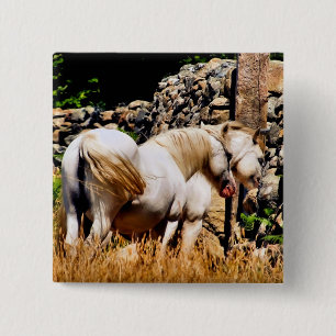 PONIES VIERKANTE BUTTON 5,1 CM