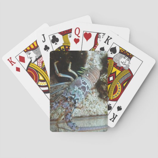 Pont à coque rigide de cartes à jouer (dos)