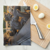 Pont Alexandre 3. Paris. France. Serviette de cuis (Quart Plié)