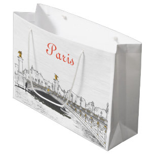 Pont Alexandre III aan de Seine River - Parijs Fra Groot Cadeauzakje