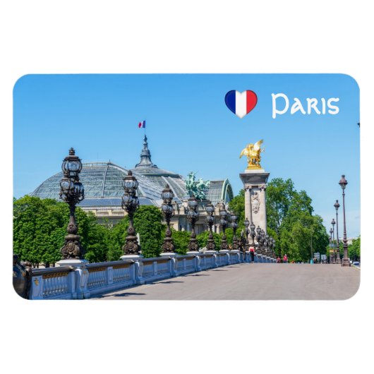 Pont Alexandre III en Grand Palais, Parijs, Frankr Magneet (Horizontaal)