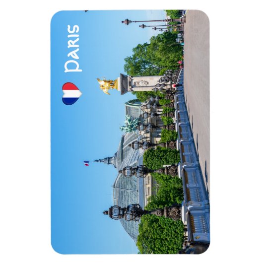 Pont Alexandre III en Grand Palais, Parijs, Frankr Magneet (Verticaal)