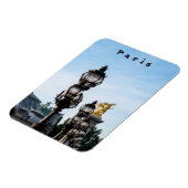 Pont Alexandre III - Parijs, Frankrijk Magneet (Linkerzijde)