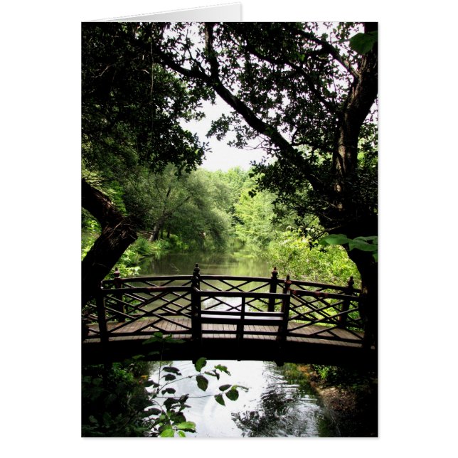 Pont au-dessus de l'eau paisible (Devant)