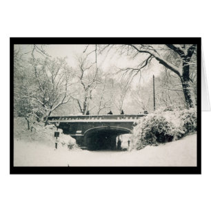 pont central du parc