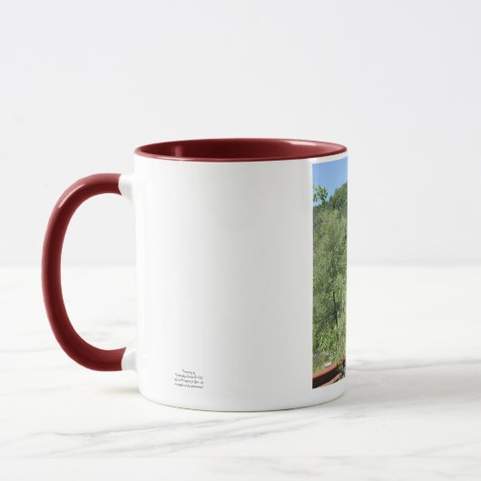 Pont couvert Braley - Mug (Gauche)