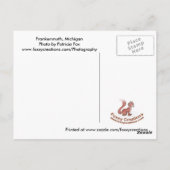 Pont couvert - Carte postale (Dos)