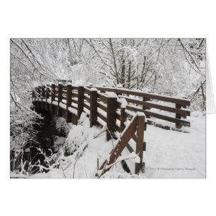 Pont couvert de neige en bois