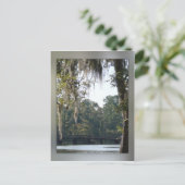 Pont dans la carte postale Swamps (Debout devant)