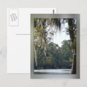 Pont dans la carte postale Swamps (Devant / Derrière)