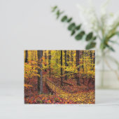 Pont d'automne, carte postale (Debout devant)