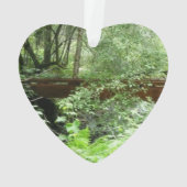 Pont de Muir Woods I (dos)