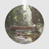 Pont de Muir Woods II (dos)