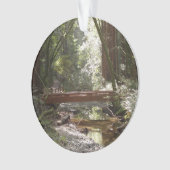 Pont de Muir Woods II (devant)