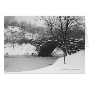 Pont de pierre sur la rivière enneigée