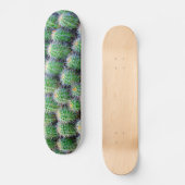 pont de skateboard de cactus (Recto)