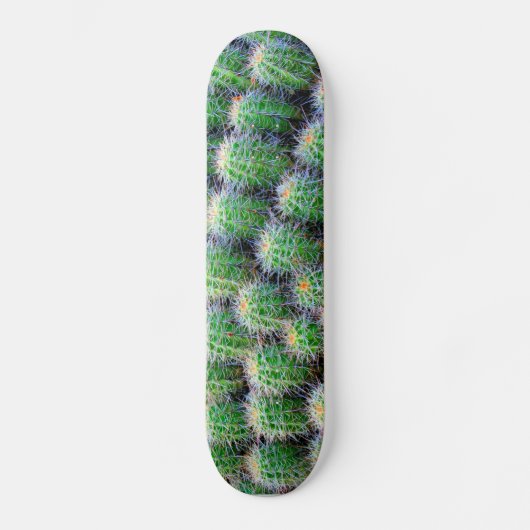 pont de skateboard de cactus (Recto)