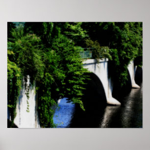 Pont Des Fleurs Shelburne Falls MA Poster