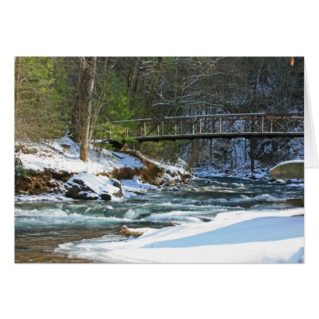 Pont Fires Creek (Devant Horizontal)