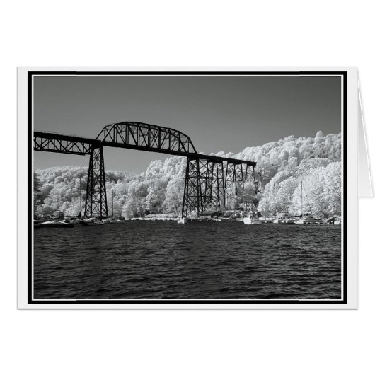Pont infrarouge (Devant horizontal)