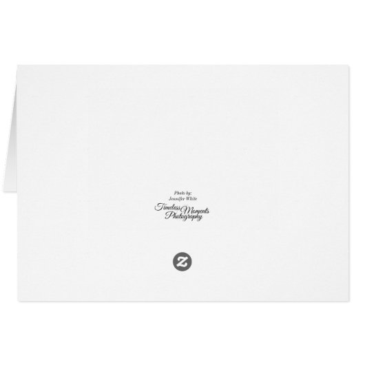 Pont Mackinac (Dos Horizontal)