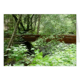 Pont Muir Woods I
