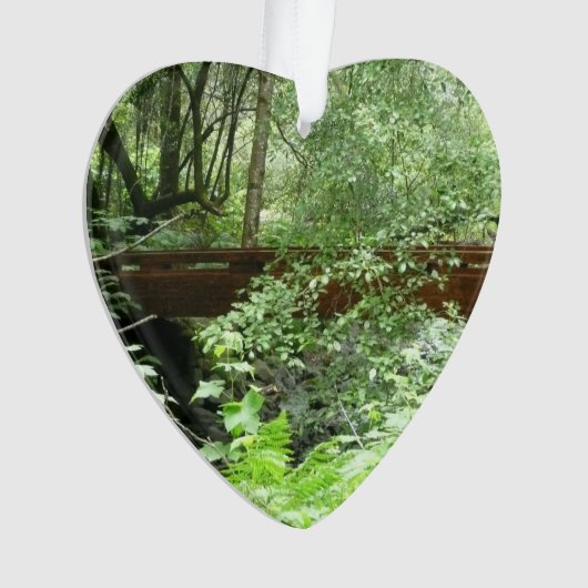 Pont Muir Woods I (devant)