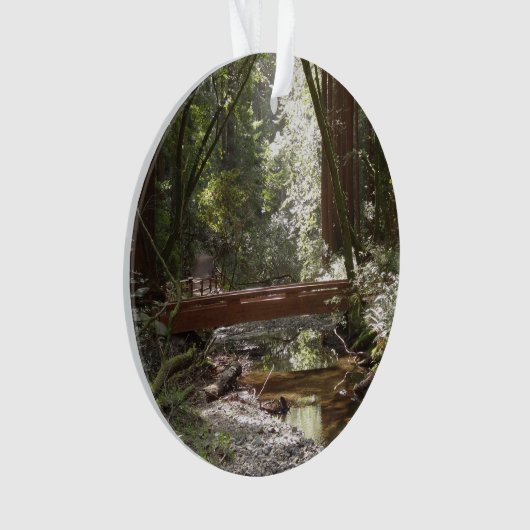 Pont Muir Woods II (devant)