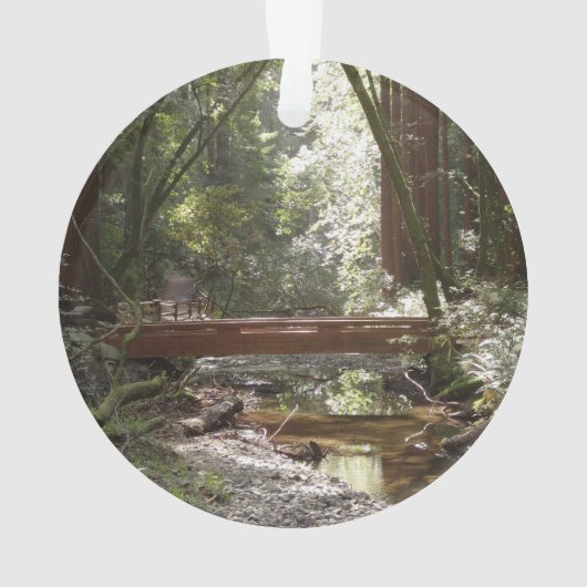 Pont Muir Woods II (dos)