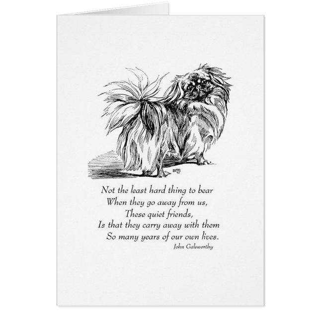 Pont Pekingese Chien Rainbow (Devant)