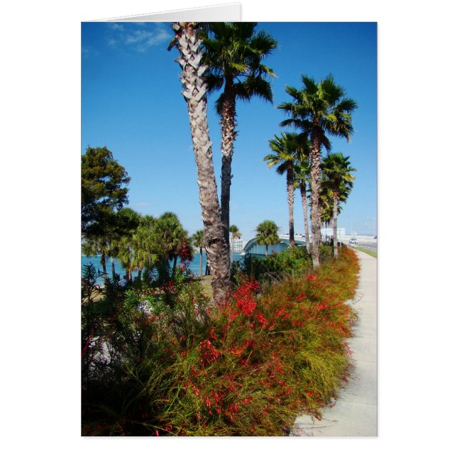 Pont Sarasota (Devant)