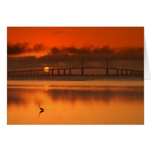 Pont Skyway