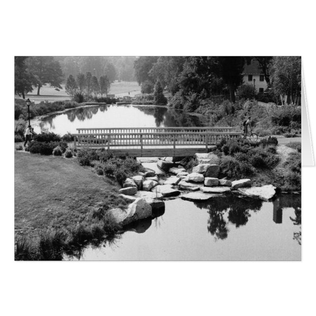 Pont sur carte CT (Devant horizontal)