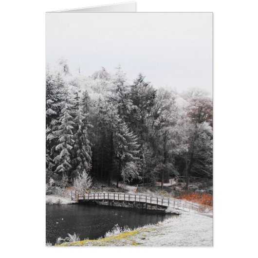 Pont sur une carte du matin gelée (Devant)