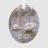 Pont Swans et Charles à Prague (devant)